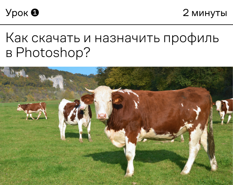 Превью урока 1