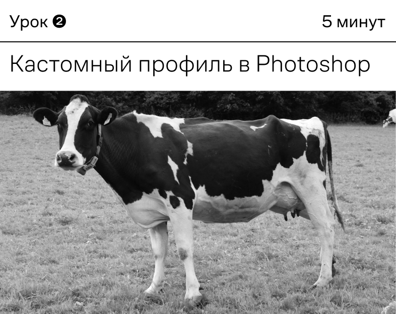 Превью урока 2