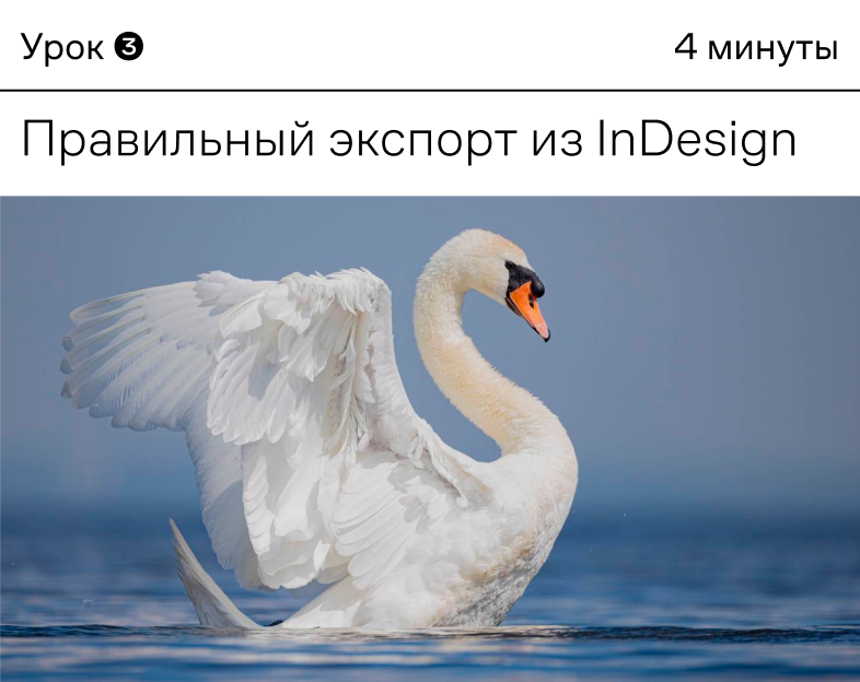 Превью урока 3